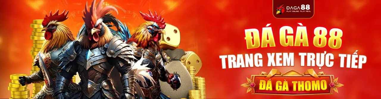 Hình ảnh một trận đá gà kịch tính tại 66ff