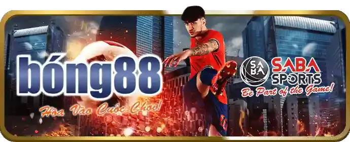 Giao diện thân thiện và dễ sử dụng của 66ff